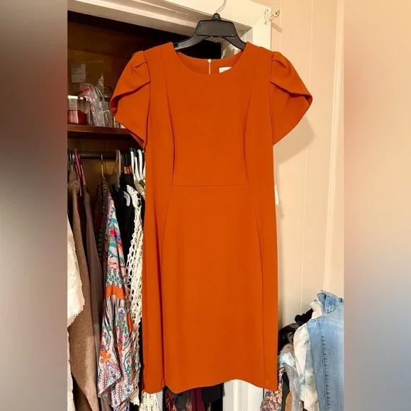 Calvin Klein Elegant Orange Women's Dress - Picture 1 of 5